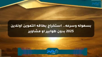 بسهولة وسرعة.. استخراج بطاقة التموين أونلاين 2025 بدون طوابير أو مشاوير
